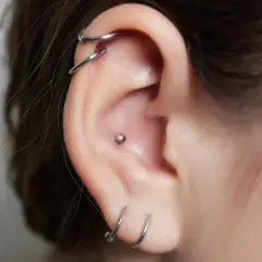 Ucho z kilkoma kolczykami, w tym vch piercing z małą kulką.
