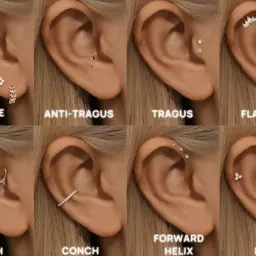 Kolekcja kolczyków do ucha: lobe, anti-tragus, tragus, flat helix, daith, conch, forward helix, helix.