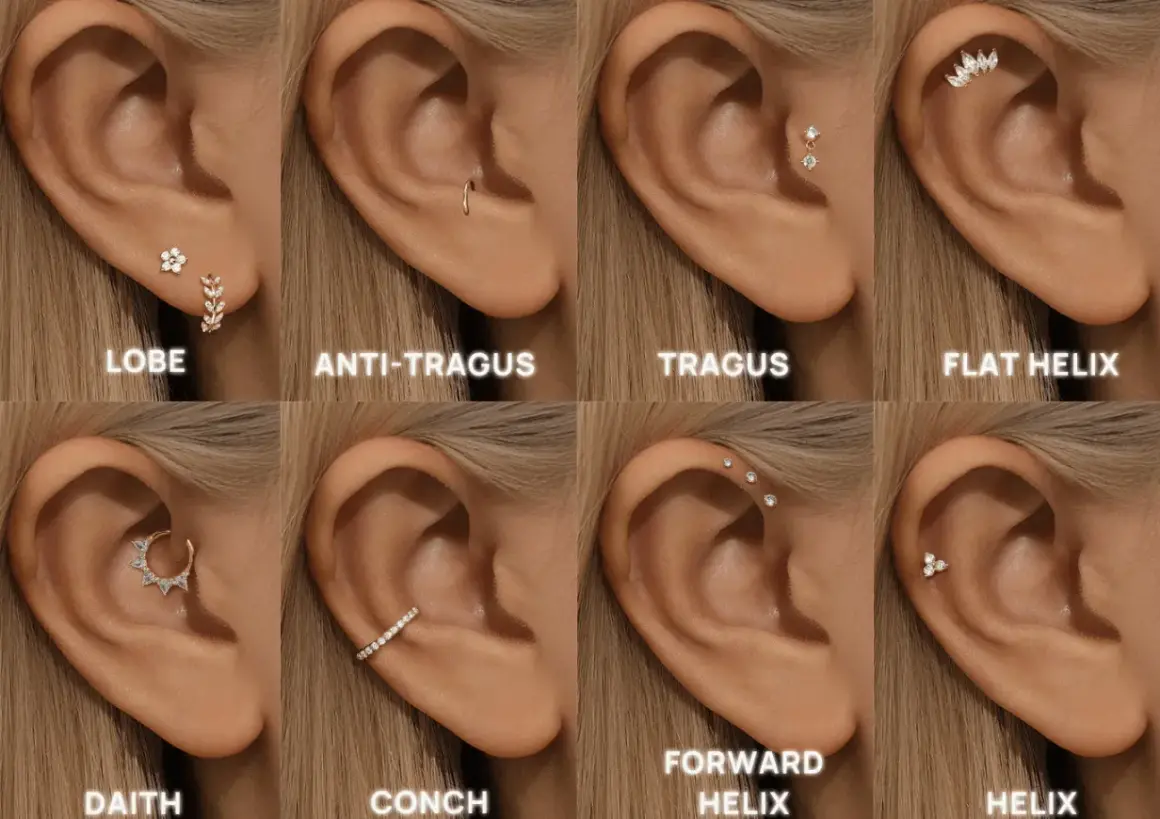 Kolekcja kolczyków do ucha: lobe, anti-tragus, tragus, flat helix, daith, conch, forward helix, helix.