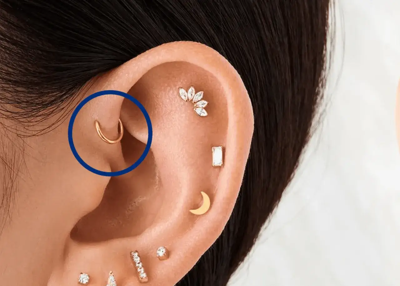Złoty kolczyk typu forward helix piercing zdobi ucho, uzupełniając kolekcję innych subtelnych ozdób.